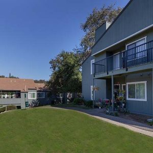 Community landscape and apartment buildings